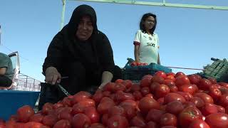 TALAS'TA VATANDAŞLAR KIŞLIK HAZIRLIKLARINI TAMAMLADI