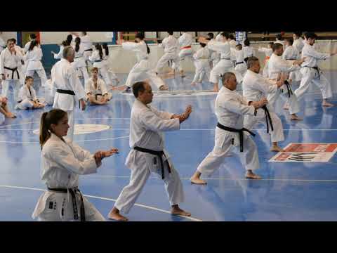 Asociacion Allense de Karate   Sep2019 10mo Curso Zona Sur Sensei Mitsuo Inoue 5