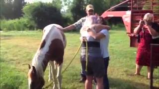 NetPosse News: Stolen horse Opie is home almost 10 years after theft