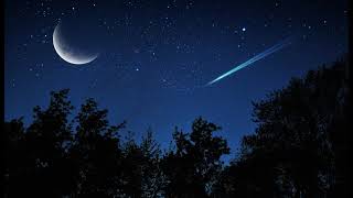 Amedeo Minghi - La stella dello sperone -1986 LP remaster