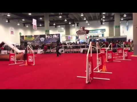 Gerson y XoXo en Expo Can 2015