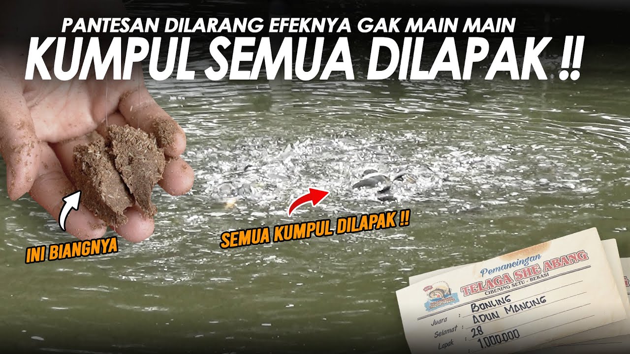 MANCING TINGGAL METIK DOANG !! IKAN LANGSUNG KUMPUL SEADA ADANYA DI KAPAK || Am#657  Adu