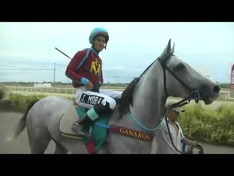 SINT FLORIDA 230216 c05 1° BOLONIA