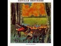 Neville Bros - Fire On The Bayou