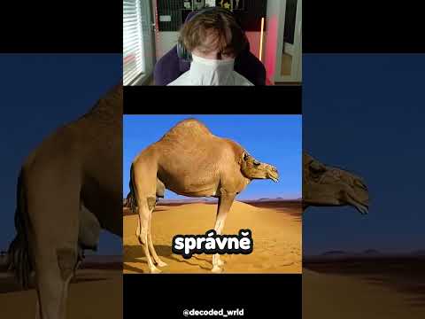 Jak by Vypadaly ZVÍŘATA bez KRKU... #shorts