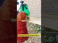 اسلام و علیکم دوستوں کیسے ہو سب Subscribetomychannel Youtubeshorts Myworkin
