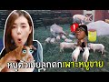ฟีฟายspace
