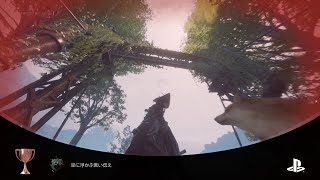 #3 見るな！言われたら見たくなるよ・・・ [Beast of Reincarnation]