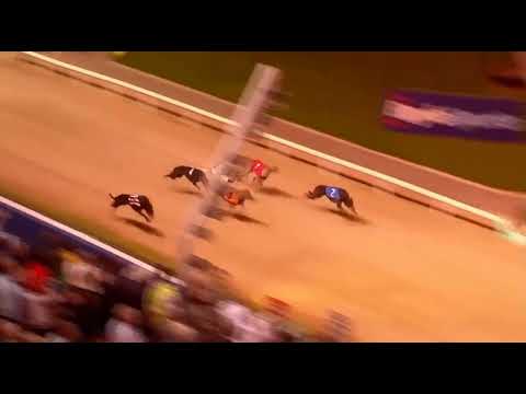 2023 IRISH GREYHOUND DERBY FINAL