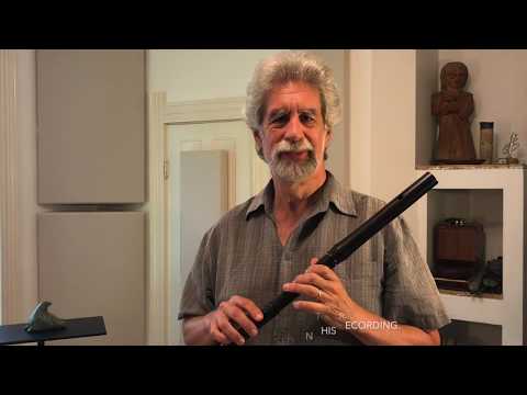 Casey Burns Folk Flute - Small Handed Ergonomic Blackwood Irish Flute image 9