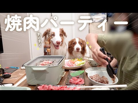 茶色の犬の品種