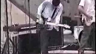 bear vs shark-ma jolie