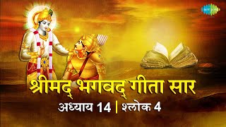 भगवद गीता सार अध्याय 14 श्लोक 4with lyrics | Bhagvad Geeta Chapter 14 sholk 4| Shailendra Bharti