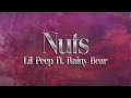 Lil Peep Nuts Lyrics Feat Rainy Bear