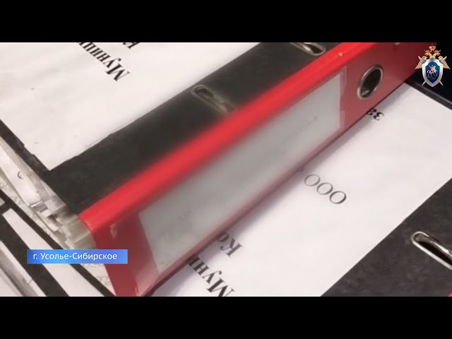 В Приангарье возбуждено уголовное дело о мошенничестве в особо крупном размере