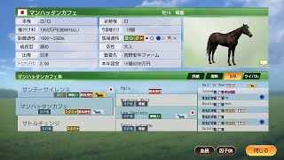【ゆっくり解説】ウイニングポスト9　2021　系統確立　ホイストザフラッグ・アレッジド・ローソサイエティ編