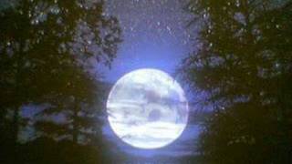 DONT KNOW ANY BETTER