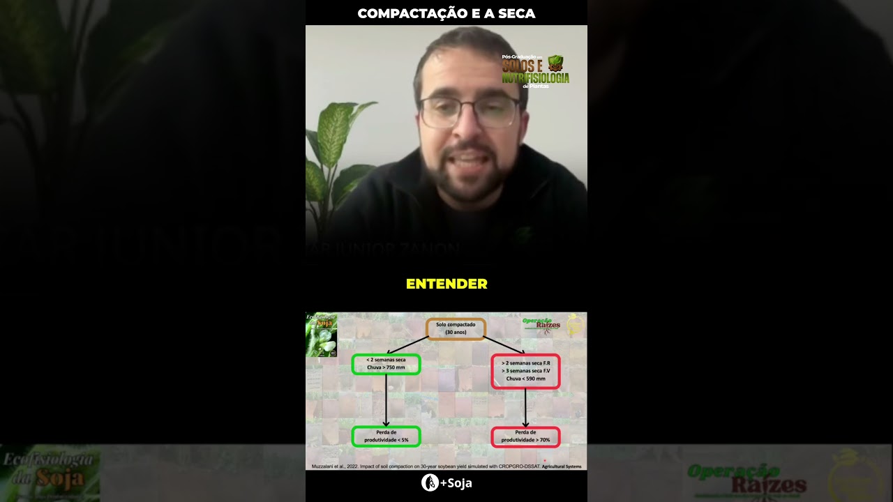 Compactação do solo e os 7% #maissoja #soja