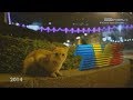 TV3 Malaysia 1984 2016
