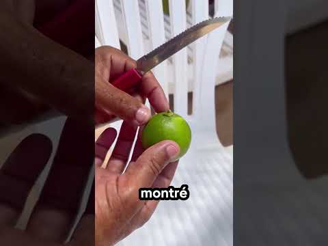 🍋 On a coupé les citrons de la mauvaise façon toute notre vie ! #astucecuisine #nature #intéressant