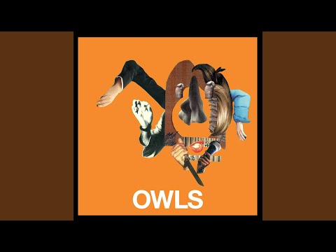 Everyone Is My Friend - Owls