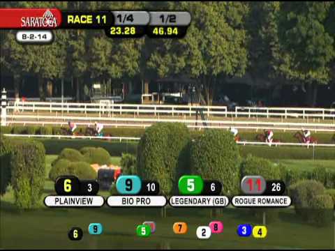 Big Blue Kitten - 2014 Lure Stakes