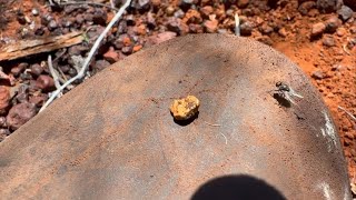 Gold on Them Hills, Goldfields…Western Australia