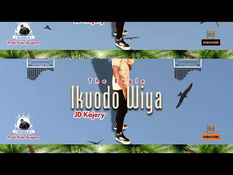 JD KAJERY - Ikuodo Wiya(Official Audio Visualizer)