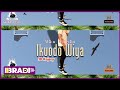 JD KAJERY Ikuodo Wiya Official Audio Visualizer