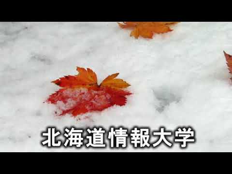 情報メディア学科 ＜2021年11月号＞HIUキャンパス便り