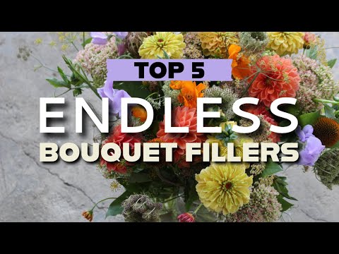 My fav bulky bouquet fillers that bloom all summer!