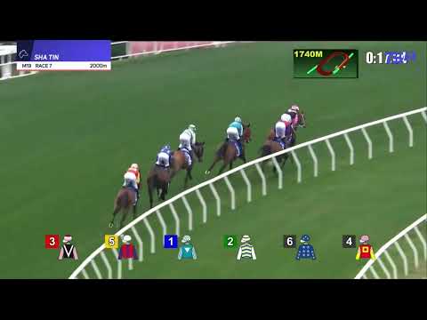 ROMANTIC WARRIOR | HONG KONG GOLD CUP GROUP 1 (2nd LEG TRIPLE CROWN) 2026 