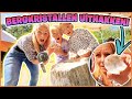BERGKRiSTALLEN UiT MAROKKO UiTHAKKEN iN DiNOPARK ??? ( Europa reis) | Bellinga Vlog #2936