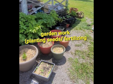 The Secret to Healthy Garden Fertilizing & Planting