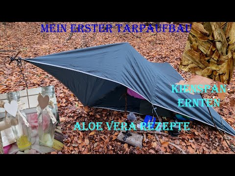 Erster Tarpaufbau ⛺ / Kienspan ernten 🪓 / Aloe Vera Rezepte 🍃 / Wette mit Papa 🥇