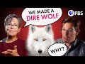 The Argument For De Extinction EXPLAINED