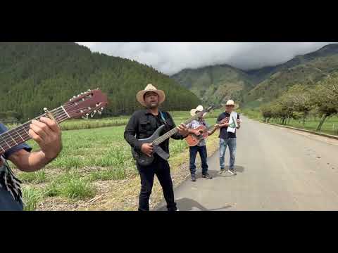 PALOMA MORENA 4K. AGROPARRANDA (cover).