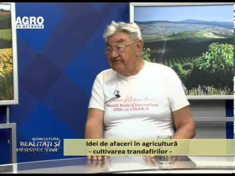 Realitati si Perspective 26 05 2013