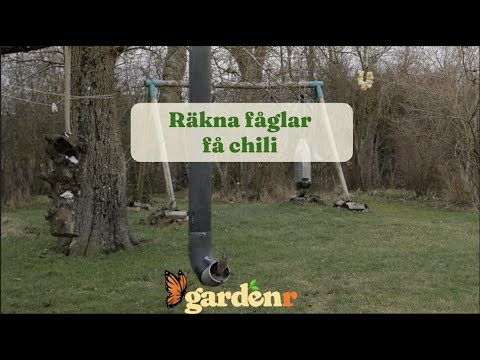 Räkna fåglar få chili - Trädgårdshacks med GardenR