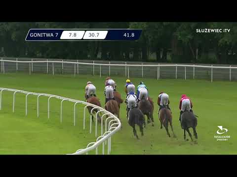 29.05.2022 - (Dzień 11; Gonitwa 7)