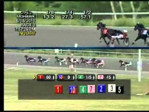 Elegantimage Trot 2011 -Crys Dream