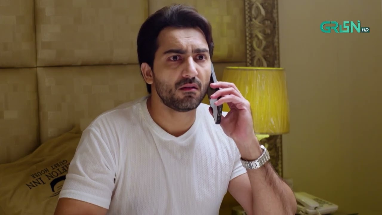 Raat Ke Andhere Main Chupke Se Qatal | Aik Bhool | Hammad Farooqui | Green TV Entertainment