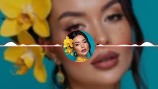 Ashes of a Paper Star | Burned Before the Sky