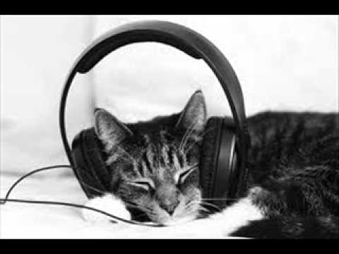 house music 2011 (cat-nap mix)