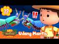 UDANG MANTIS SEDANG BERTARUNG Leo Si Penjaga Alam Kartun Edukasi Anak