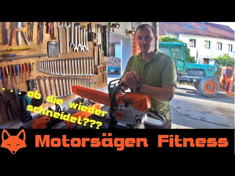 Chainsaw maintenance with STI(H)L