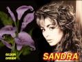 Secret Land - Sandra.wmv 