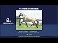 LOTE 19 Xipada De São Lourenço