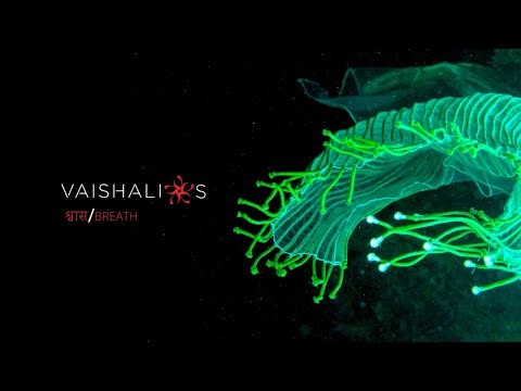 Vaishali-S | Haute Couture Show | Fall-Winter 2021