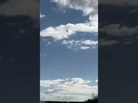 48” Extreme Flight Laser | Windy Day